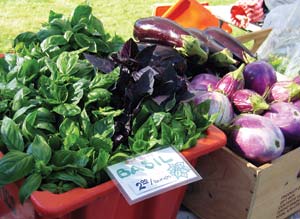 Basil and eggplant to be sold at the farmers market.